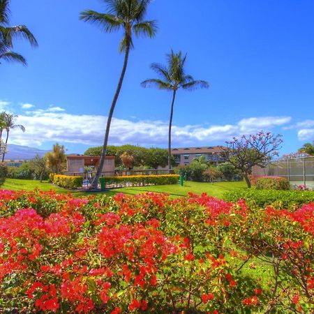 Maui Vista 3105 Lejlighed Kihei Eksteriør billede